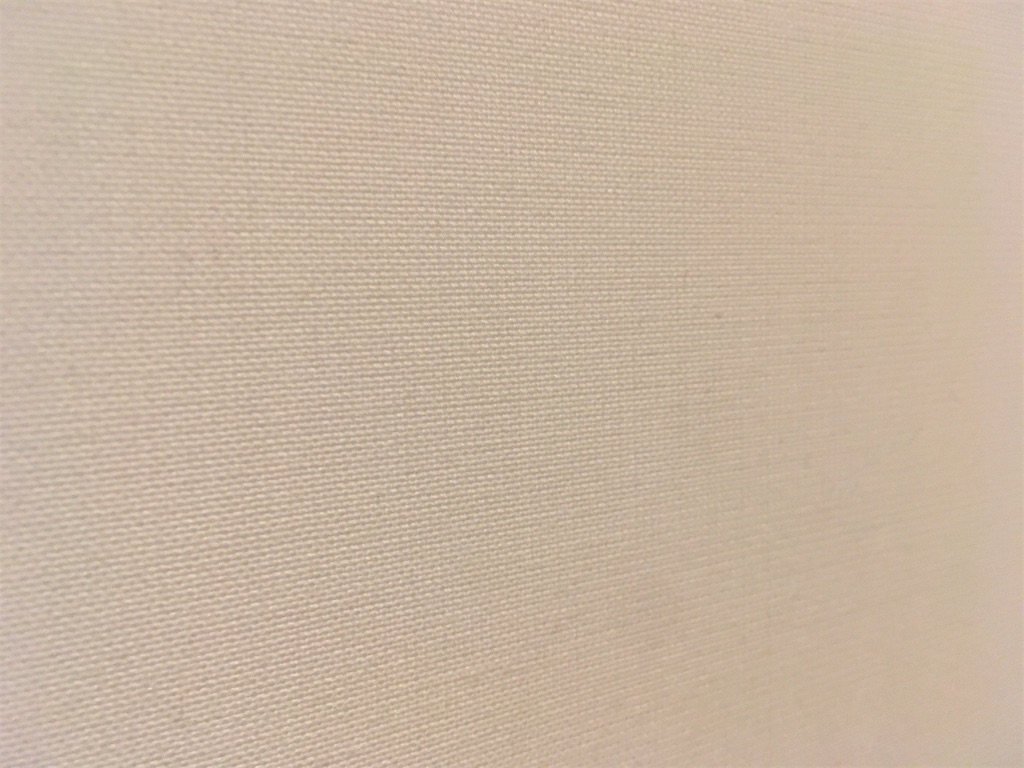 f:id:Ordinary_days:20210210161707j:image