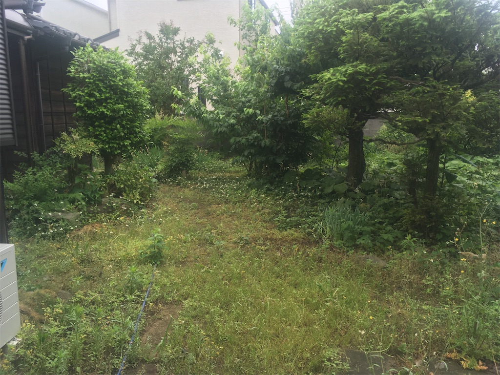 f:id:Ordinary_days:20210523195114j:image