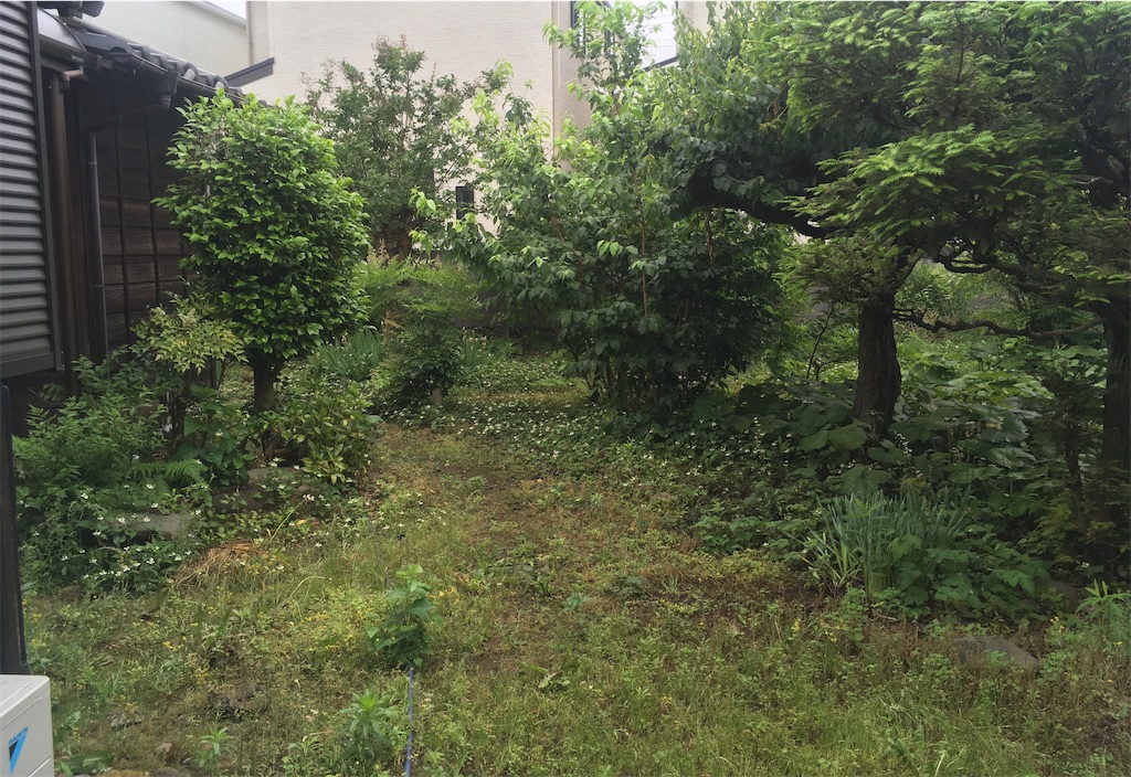 f:id:Ordinary_days:20210531075924j:image