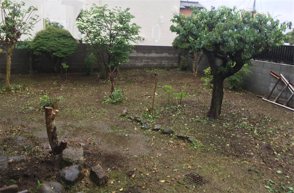 f:id:Ordinary_days:20210630125709j:image