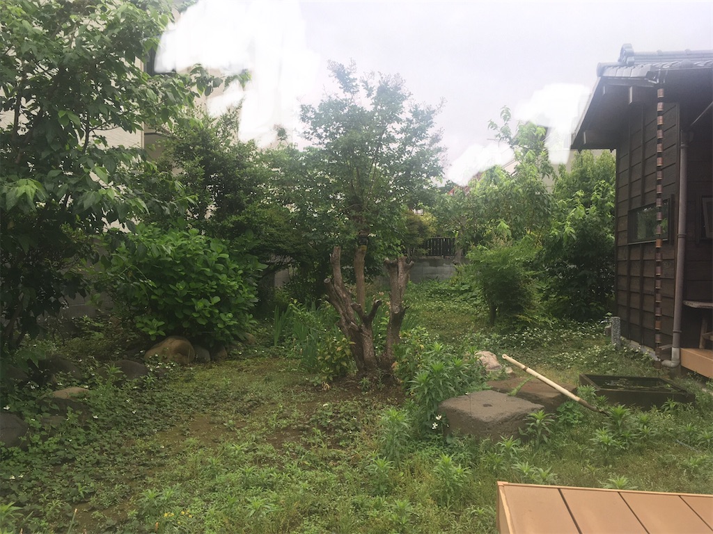 f:id:Ordinary_days:20210630130240j:image