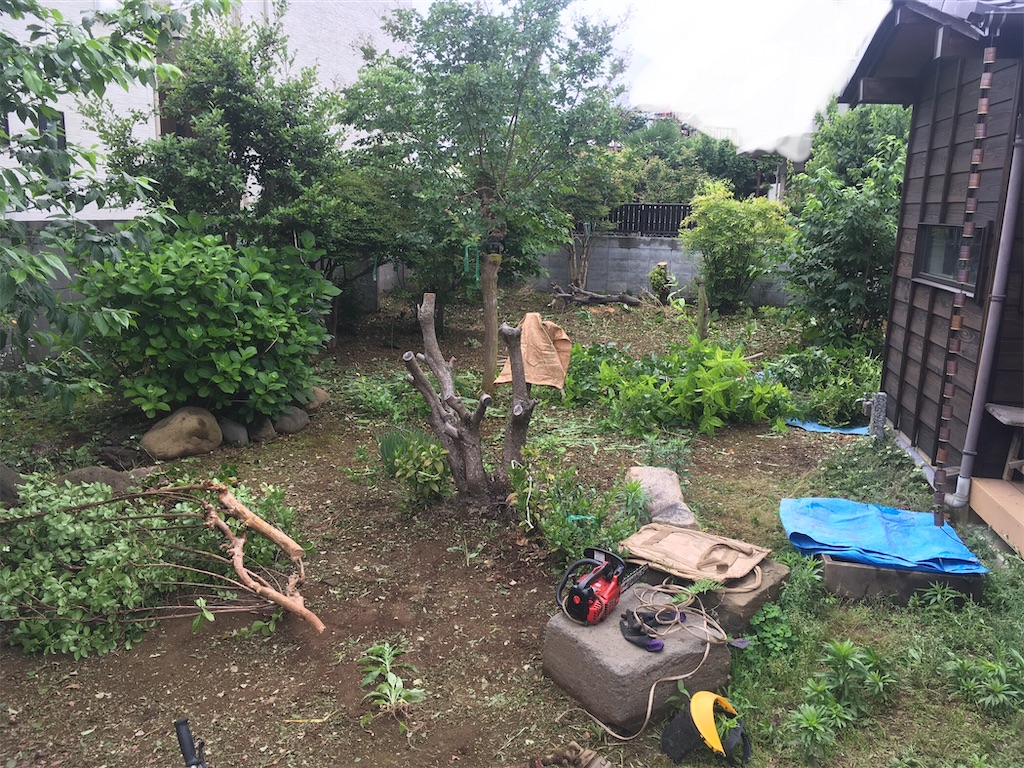 f:id:Ordinary_days:20210630130442j:image