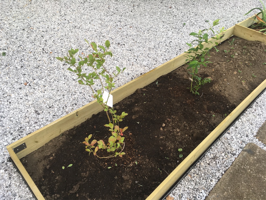 f:id:Ordinary_days:20211022075524j:image