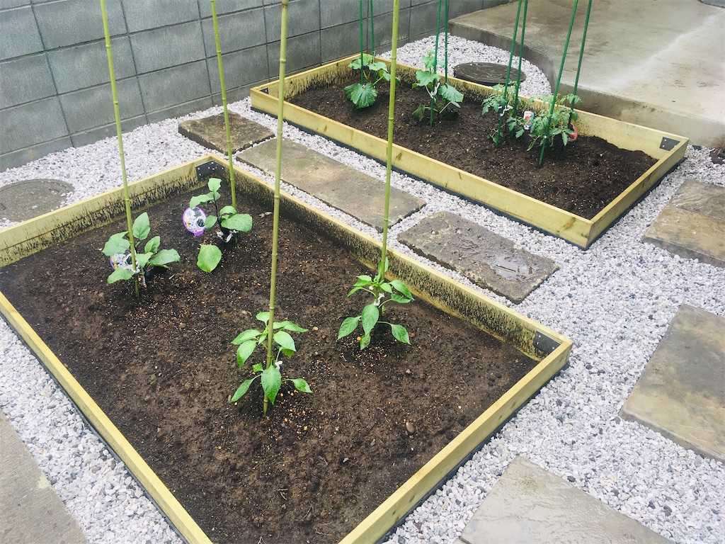 f:id:Ordinary_days:20211022075605j:image