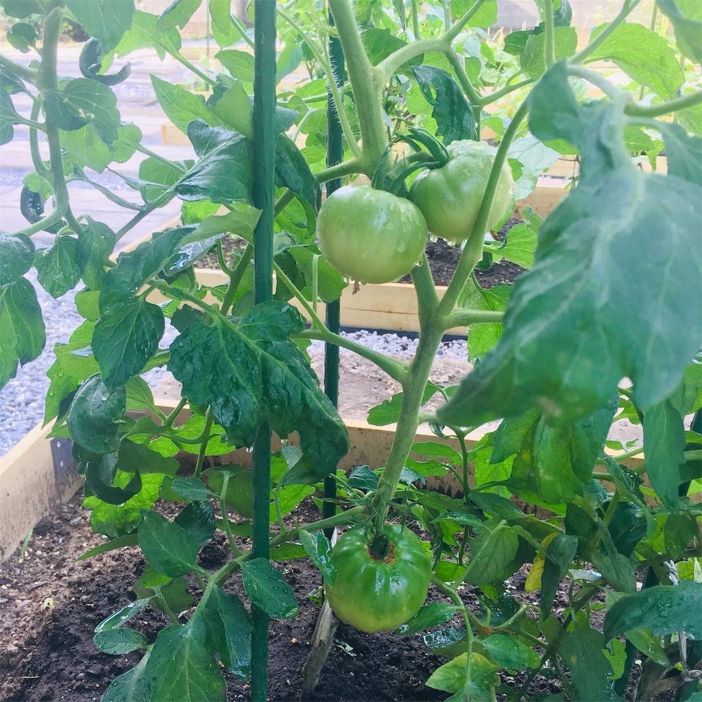 f:id:Ordinary_days:20211022075941j:image