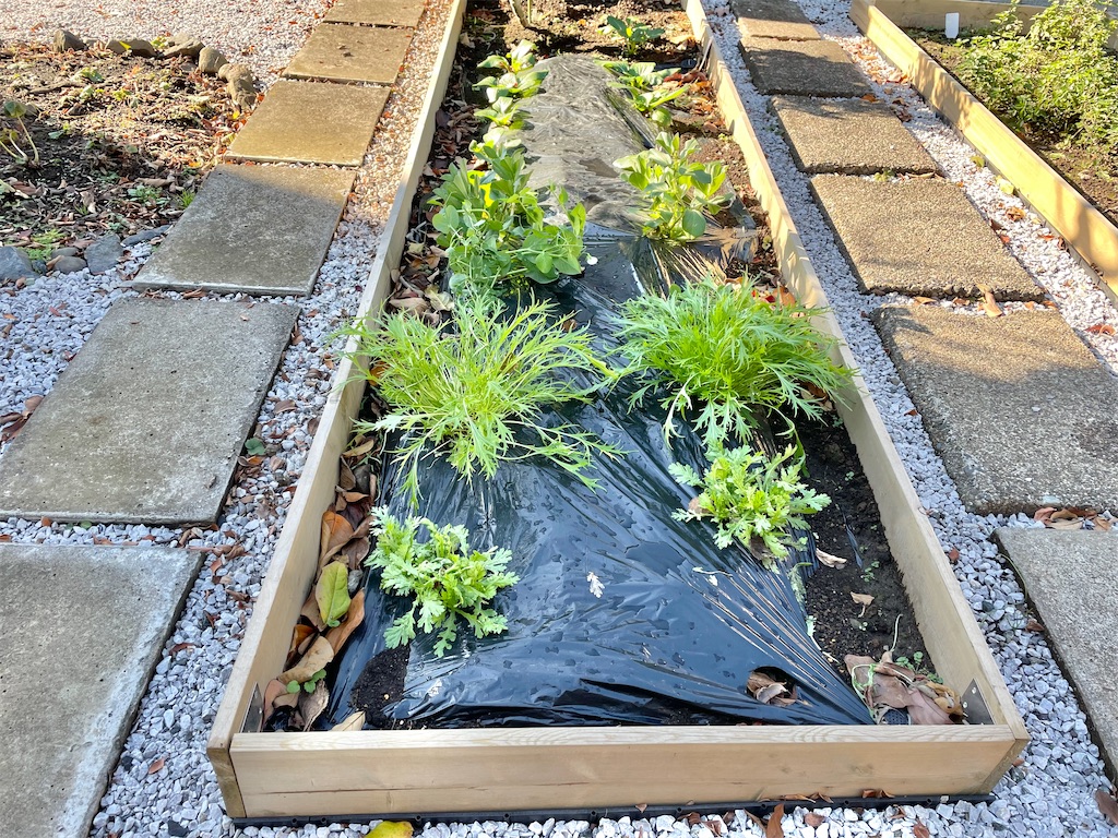 f:id:Ordinary_days:20211215131625j:image