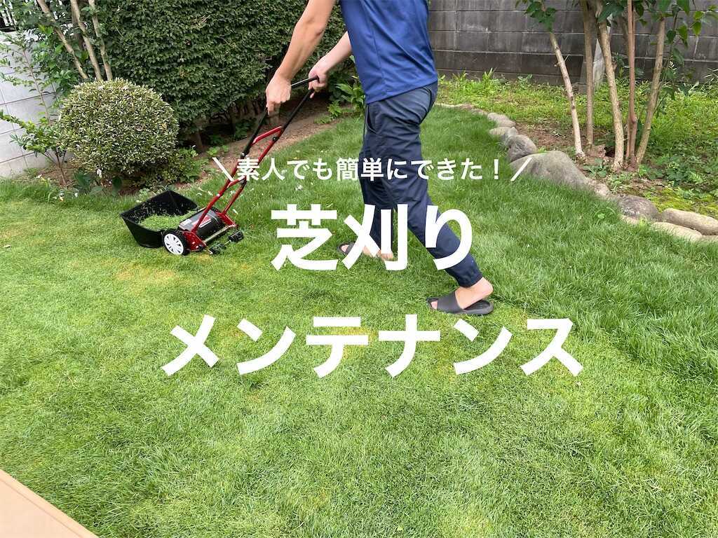 芝刈り機　手動 芝刈り機 手動 芝刈機 手動式 芝刈り機 MLM-300 送料無料 芝刈り機 芝刈機 リール式 手動芝刈機 手動 小型 コンパクト  折りたたみ 落ち葉 リール式　5枚刃 広範囲 ワイド 大容量 切れ味 調整 夏 春 秋 グリーン: ポムプラス