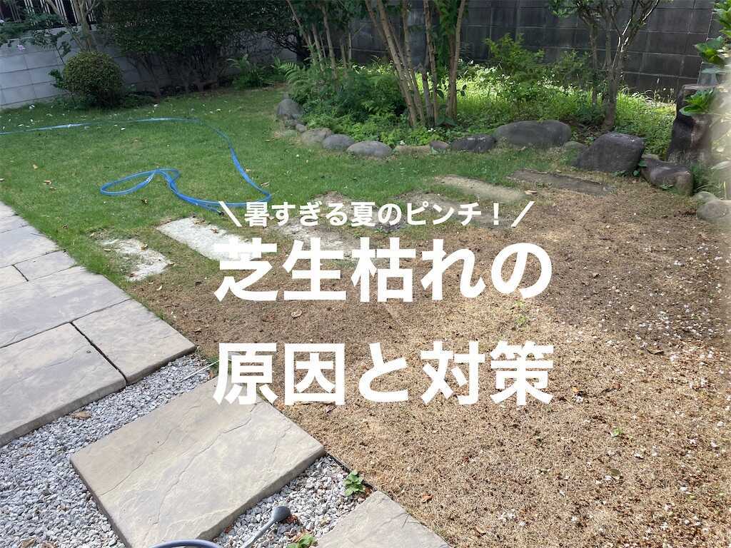 f:id:Ordinary_days:20240829221250j:image