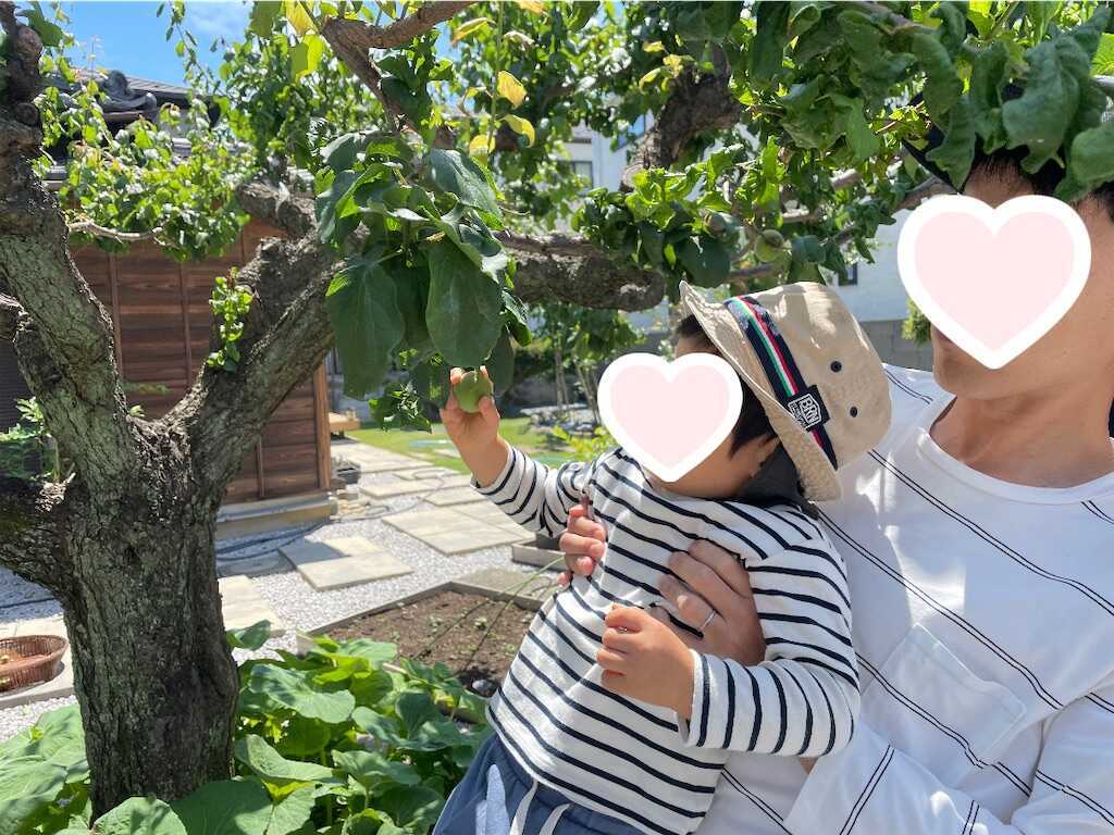f:id:Ordinary_days:20250603101533j:image