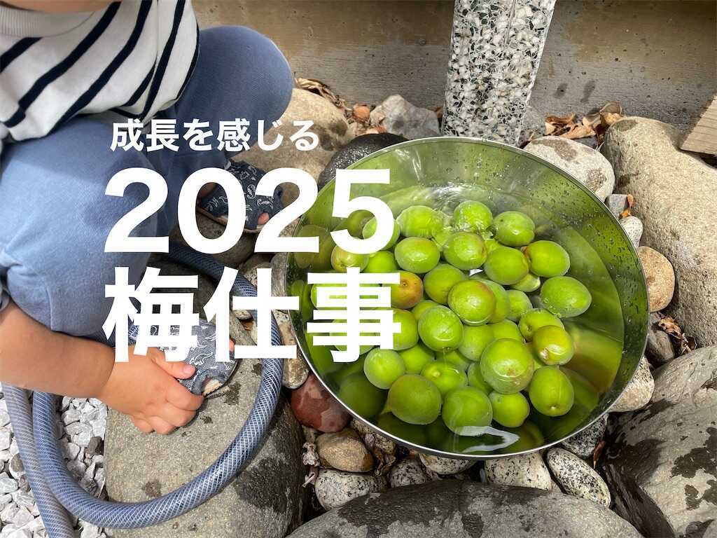 f:id:Ordinary_days:20250624150457j:image