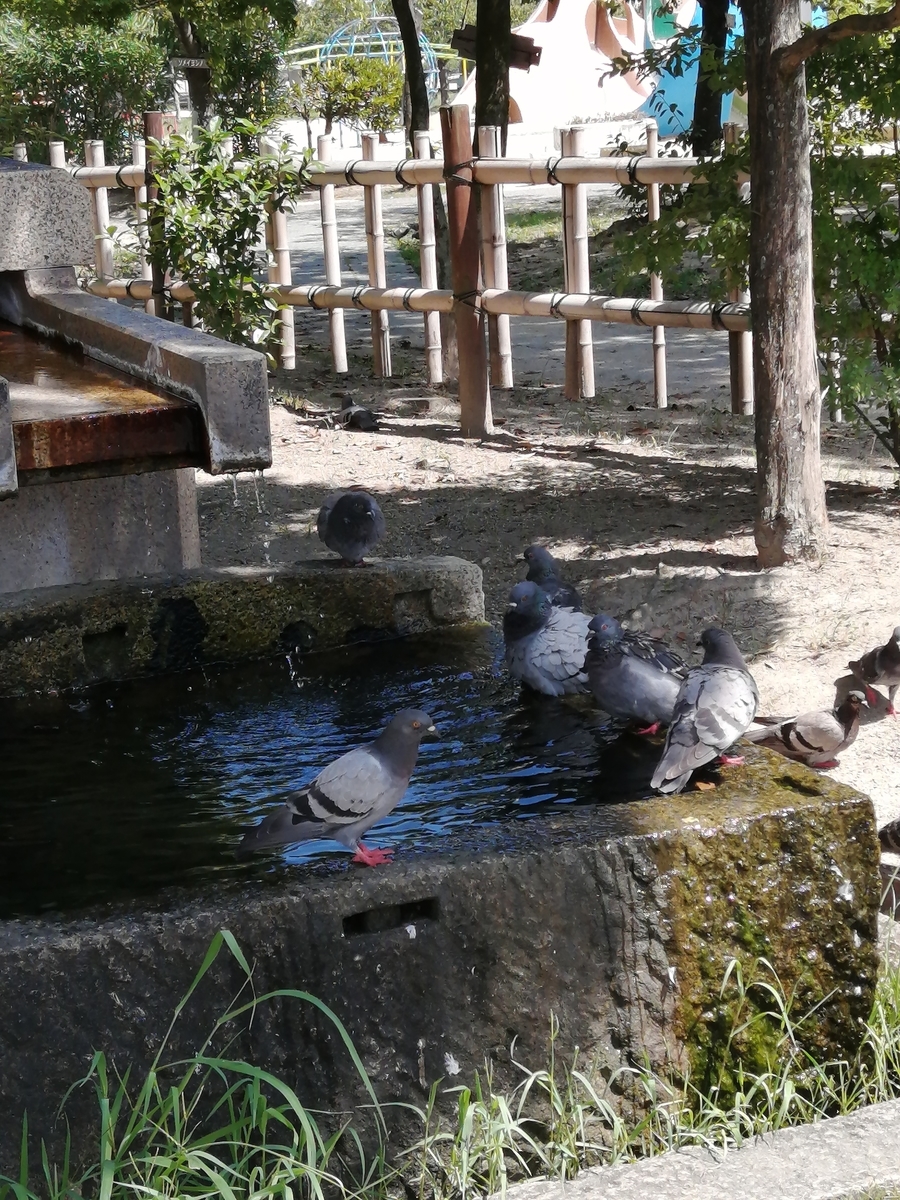 f:id:Osakabunfree:20200905152104j:plain f:id:Osakabunfree:20200905152104j:plain