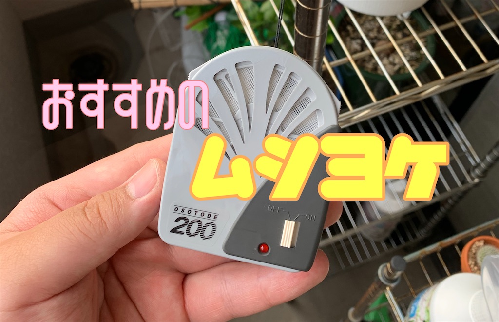 お外でノーマット が助かるとは 栽培マンのプラムさん