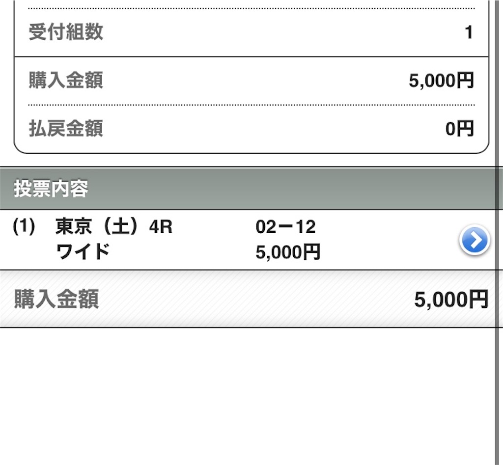 f:id:OukaSyuuka:20240127092309j:image