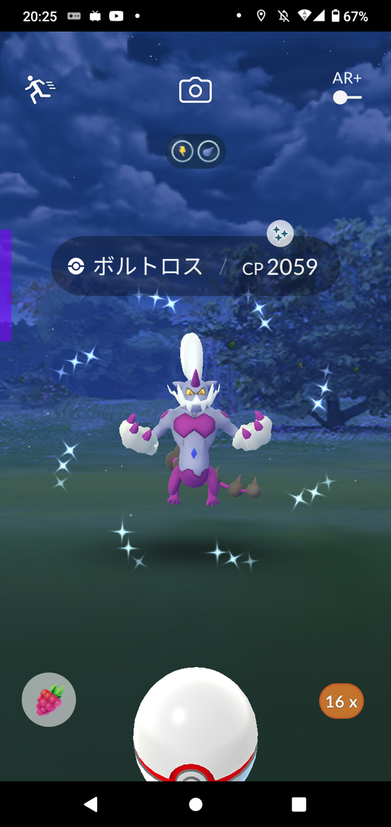 ポケモンgo 色違い霊獣ボルトロス オキザリメモチョー