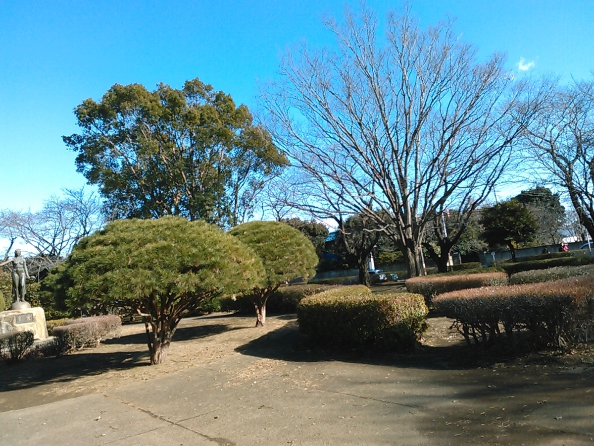 f:id:Oyamada23:20200105192829j:plain