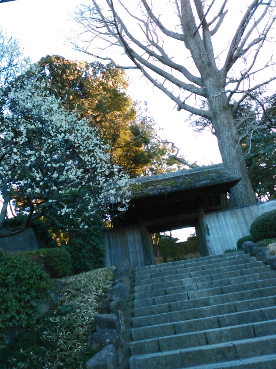 f:id:Oyamada23:20200218233725j:plain