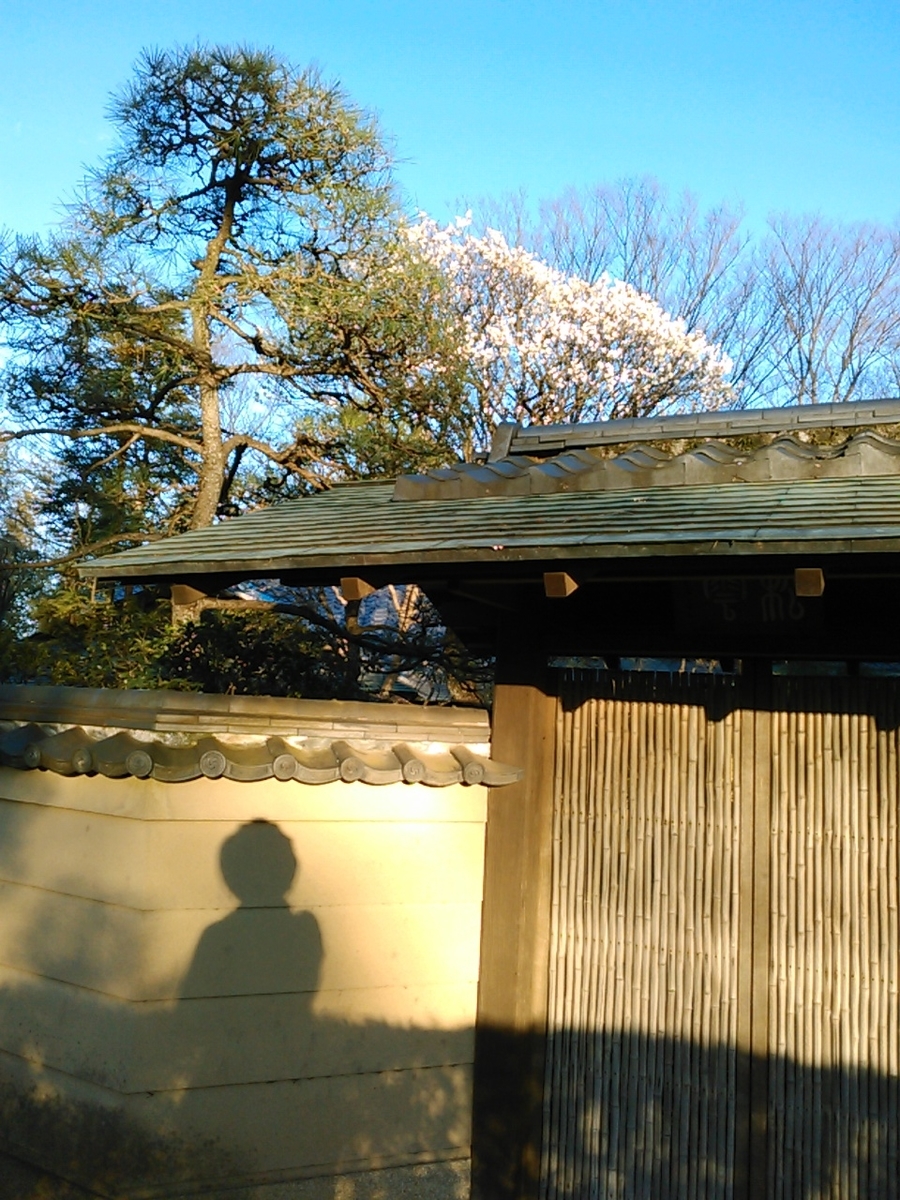 f:id:Oyamada23:20200218234331j:plain