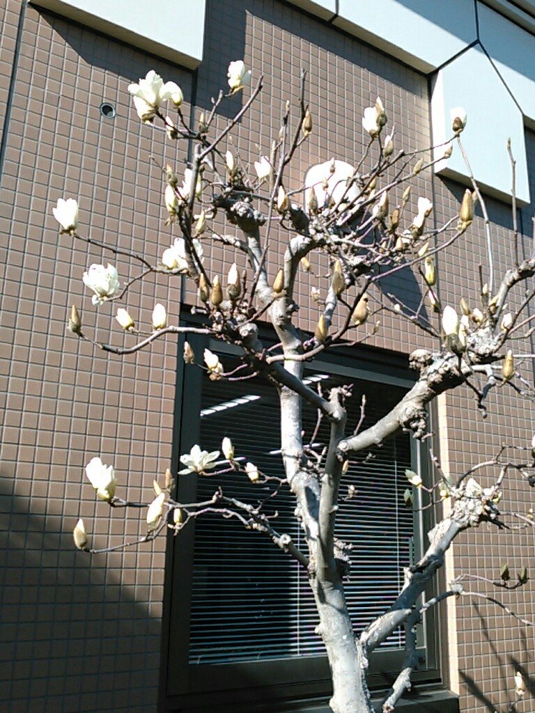 f:id:Oyamada23:20200303213014j:plain