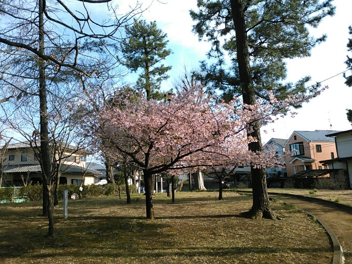 f:id:Oyamada23:20200314002402j:plain