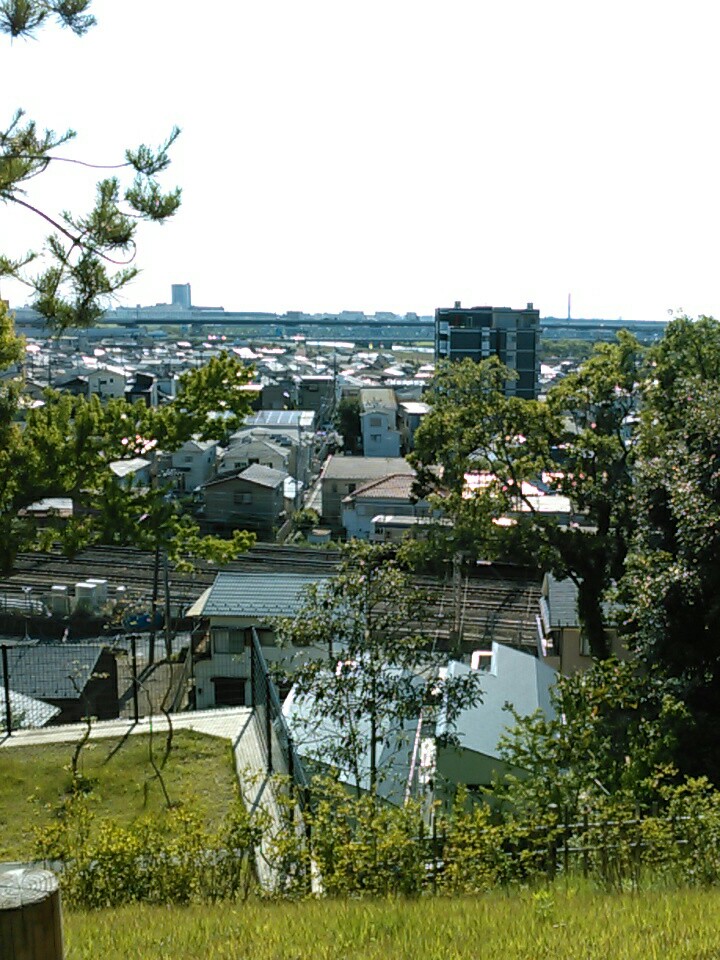 f:id:Oyamada23:20200618180218j:plain