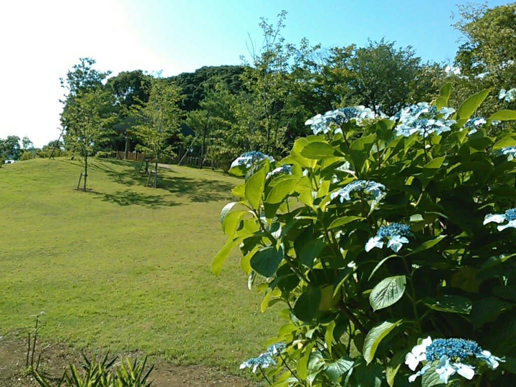 f:id:Oyamada23:20200618180257j:plain