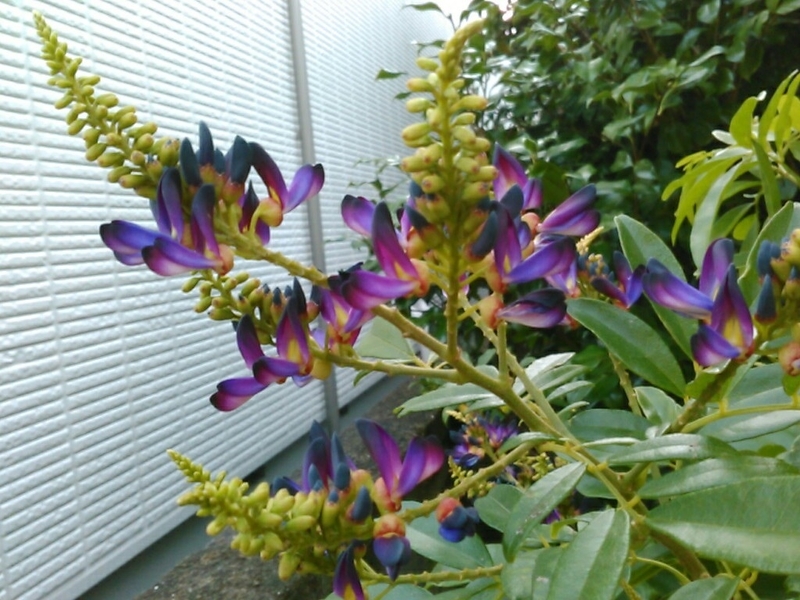 f:id:Oyamada23:20200722000744j:plain