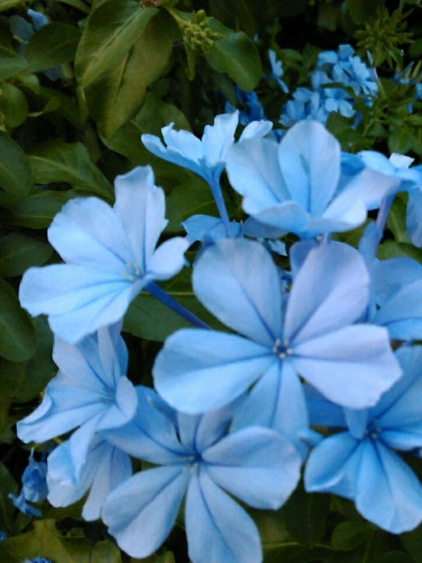 f:id:Oyamada23:20200915190546j:plain