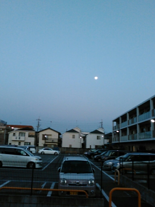 f:id:Oyamada23:20201228181132j:plain