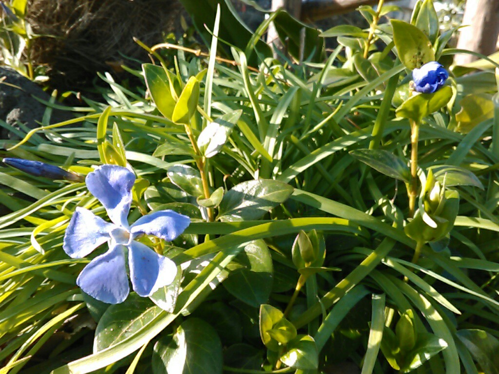 f:id:Oyamada23:20210310202802j:plain