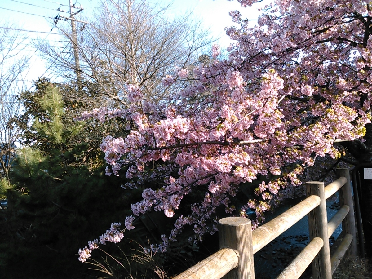 f:id:Oyamada23:20210310203519j:plain
