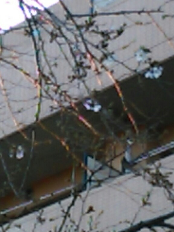 f:id:Oyamada23:20210314174422j:plain