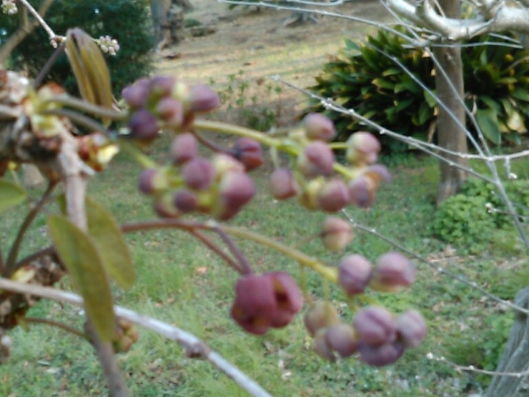 f:id:Oyamada23:20210317182935j:plain