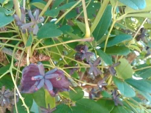 f:id:Oyamada23:20210426235352j:plain