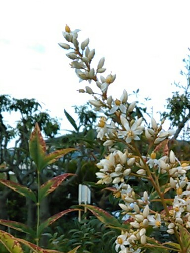 f:id:Oyamada23:20210611193538j:plain