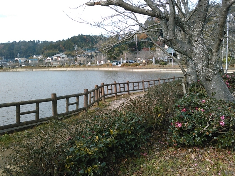 f:id:Oyamada23:20211213144928j:plain