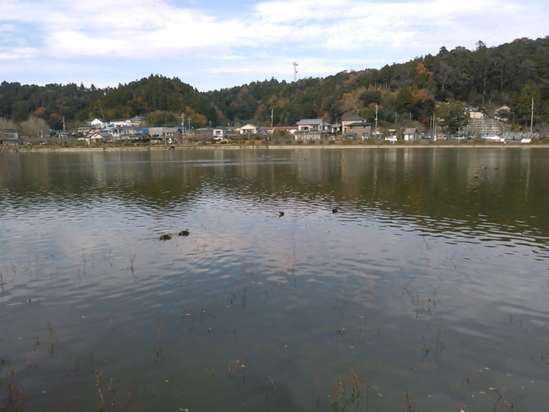 f:id:Oyamada23:20211213145149j:plain