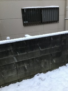 f:id:Oyamada23:20220106192541j:plain