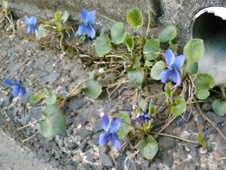 f:id:Oyamada23:20220314185424j:plain