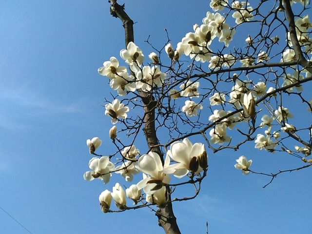 f:id:Oyamada23:20220323223846j:plain