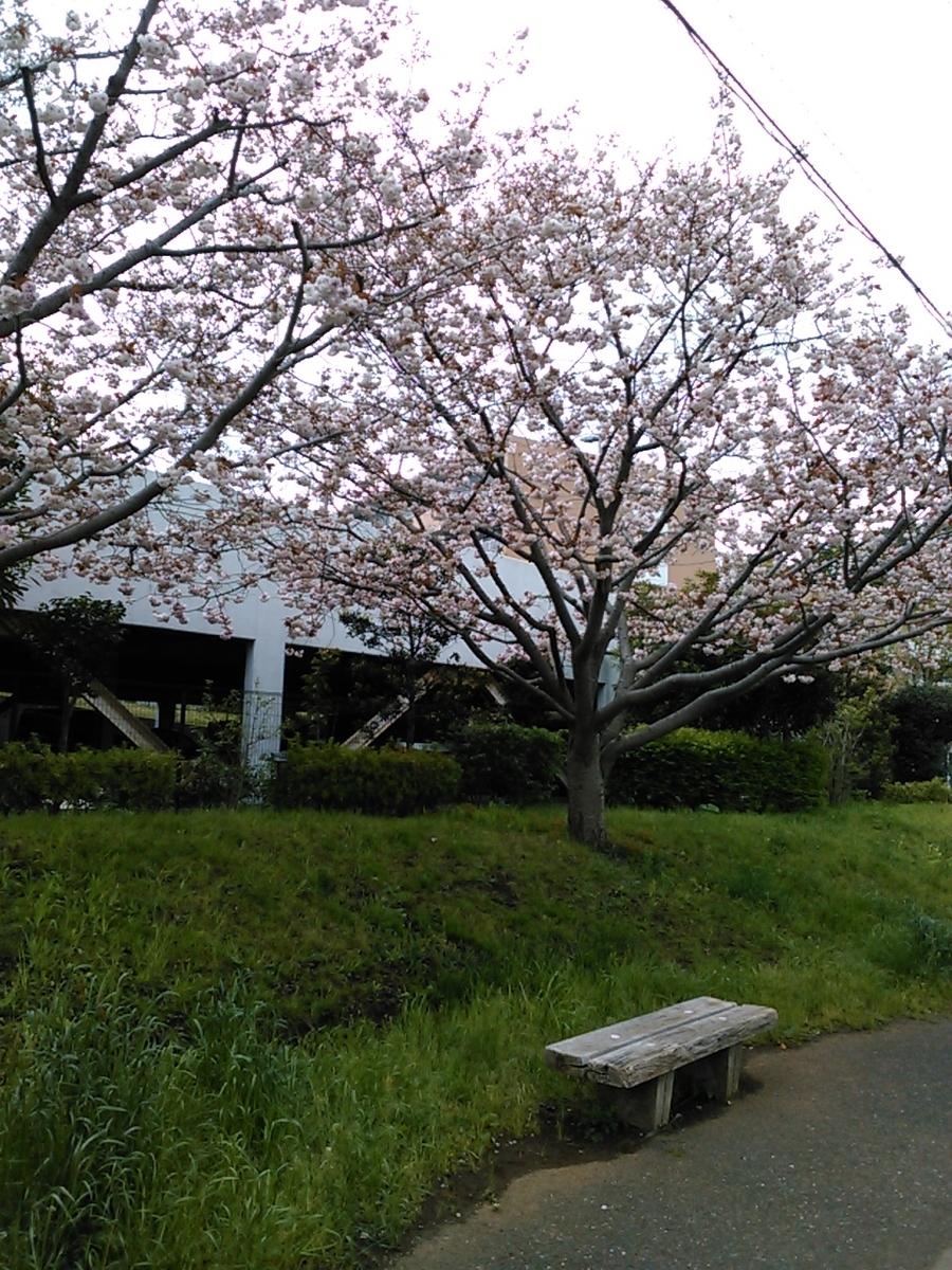 f:id:Oyamada23:20220417180552j:plain
