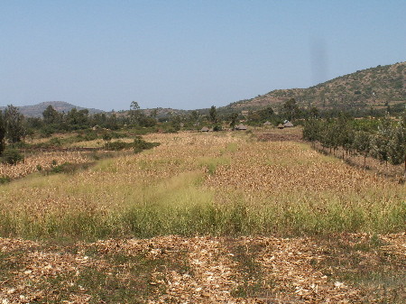 f:id:Oyoo:20050811233513j:image f:id:Oyoo:20050811233513j:image