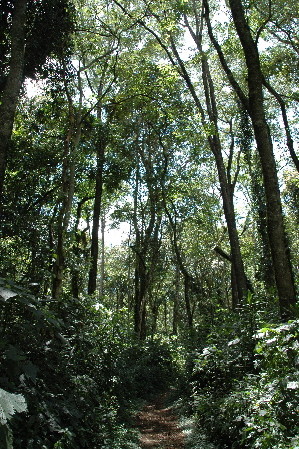 f:id:Oyoo:20070303195923j:image f:id:Oyoo:20070303195923j:image