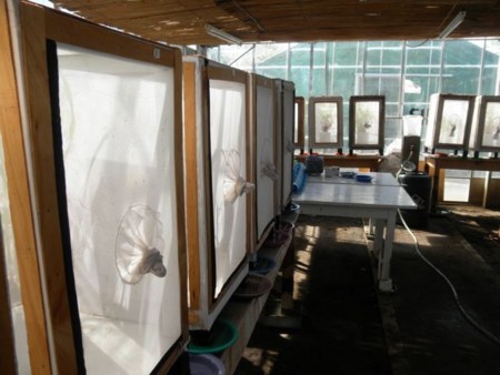 f:id:Oyoo:20110308155539j:image f:id:Oyoo:20110308155539j:image