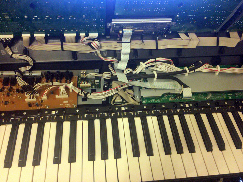 ACID MINT シンセサイザー ACID MINT シンセサイザー