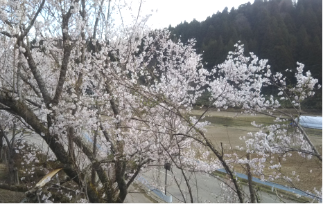 f:id:P-NAS:20180408090558p:image:w400 f:id:P-NAS:20180408090558p:image:w400