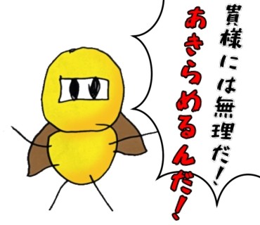 f:id:P-mas:20211205204548j:image f:id:P-mas:20211205204548j:image