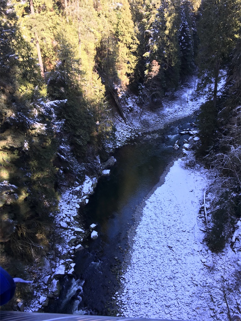 f:id:PALLAGEEM:20180301212437j:image