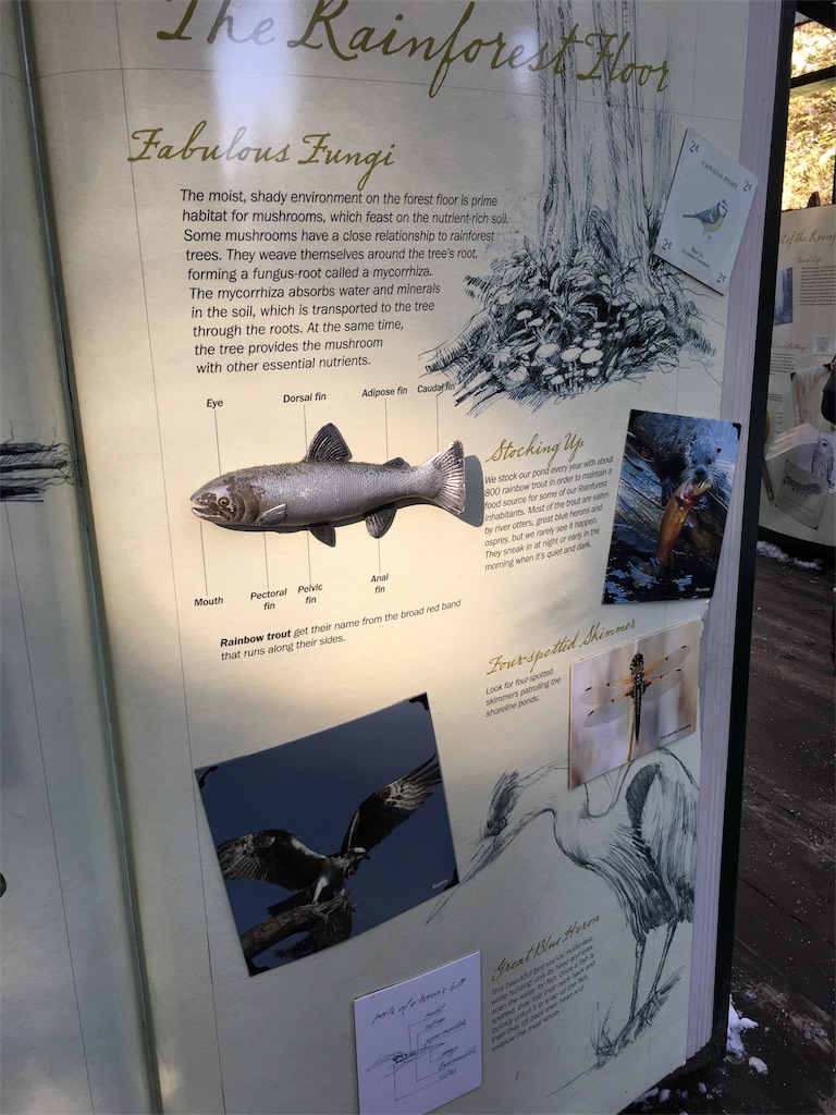 f:id:PALLAGEEM:20180301215353j:image