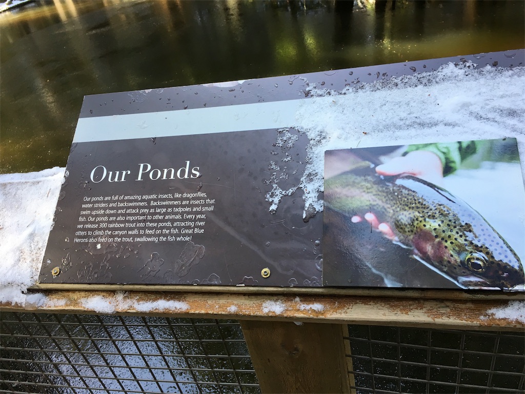 f:id:PALLAGEEM:20180301215929j:image