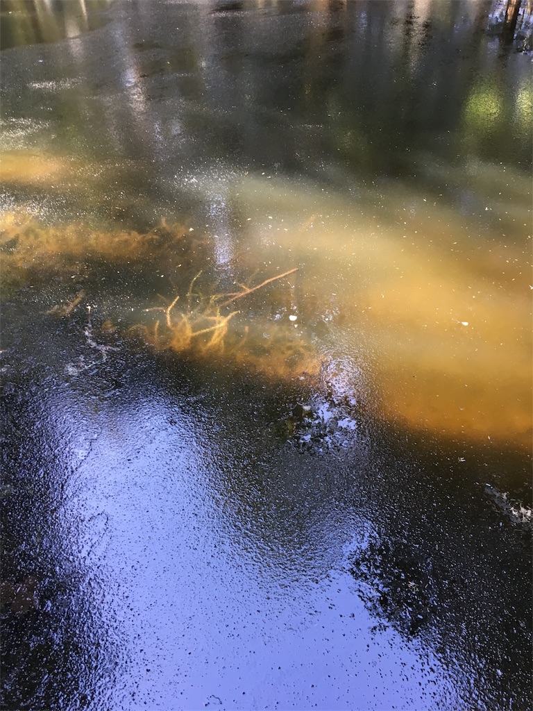 f:id:PALLAGEEM:20180301215944j:image